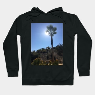 Palm Tree under the Sun Hoodie